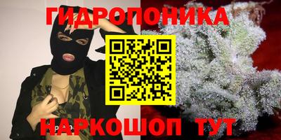 МДПВ Пушкино