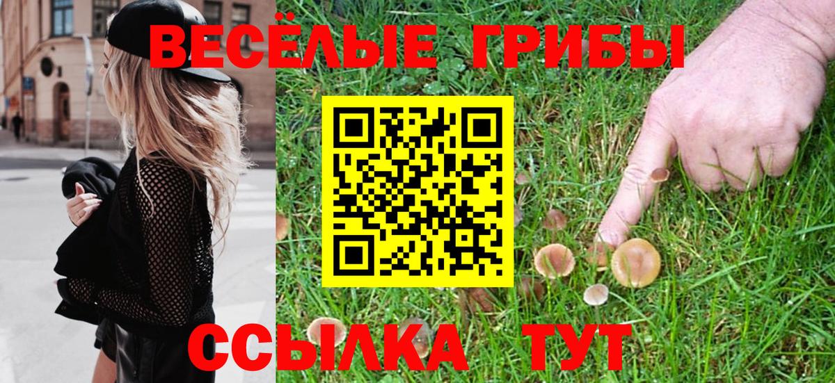 Псилоцибиновые грибы Psilocybine cubensis Трёхгорный