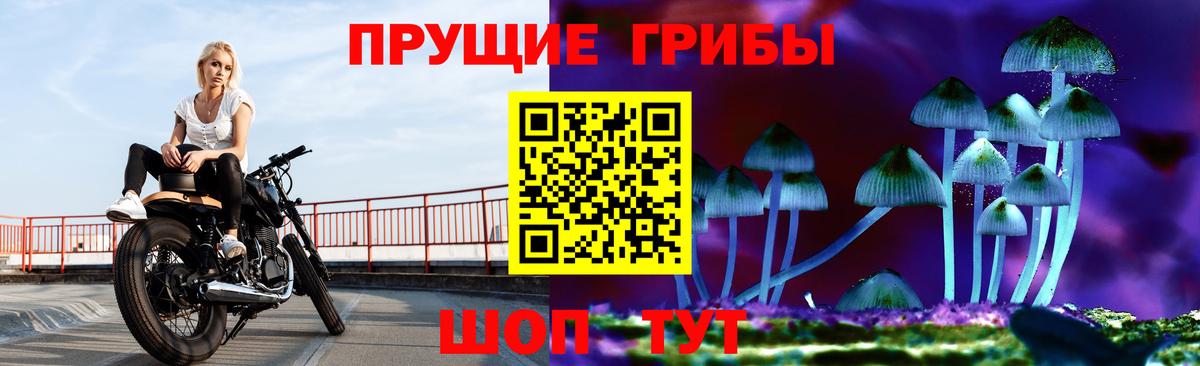 Трёхгорный  Псилоцибиновые грибы Magic Shrooms  Псилоцибиновые грибы Magic Shrooms  где купить   Вход с VPN 
